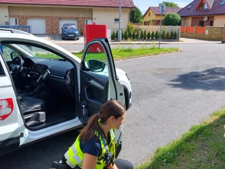 Chlapec utekl ze školky v Pardubicích a nastoupil do autobusu