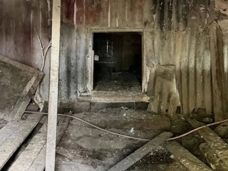 Fenka Thelma přežila otřesný chov, teď hledá domov se štěňaty