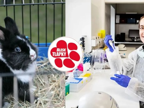 Soňa Peková vypouštěla chované králíky do přírody, případ prověřují
