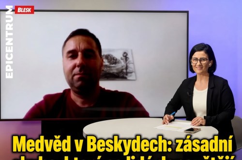 Medvěd v Beskydech děsí lidi